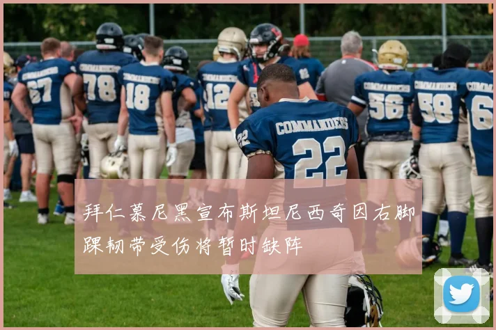 拜仁慕尼黑宣布斯坦尼西奇因右脚踝韧带受伤将暂时缺阵