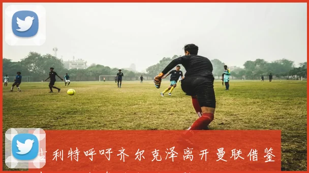 古利特呼吁齐尔克泽离开曼联借鉴麦克托米奈的成功经验